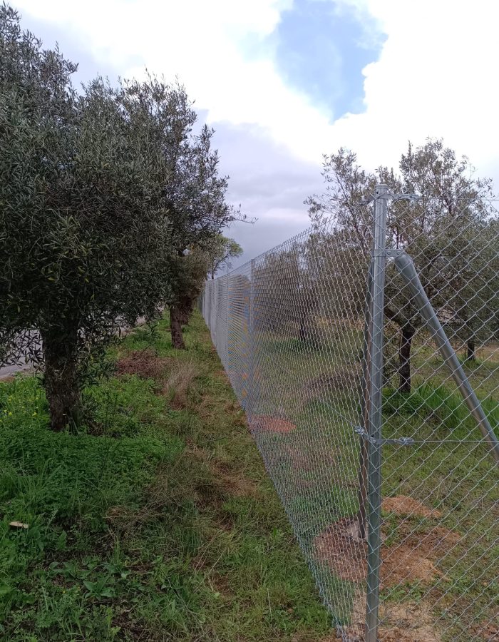 Olivenza